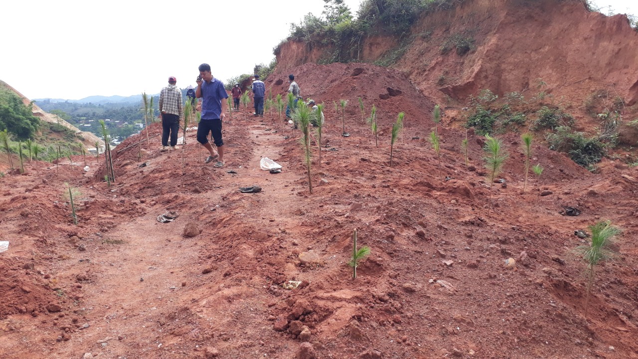 Ngày 05/06/2023 ủy ban nhân dân xã tổ chức lễ phát động "Tết trồng cây đời đời nhớ ơn Bác Hồ" và hưởng ứng "Ngày môi trường thế giới 05/06" năm 2023
