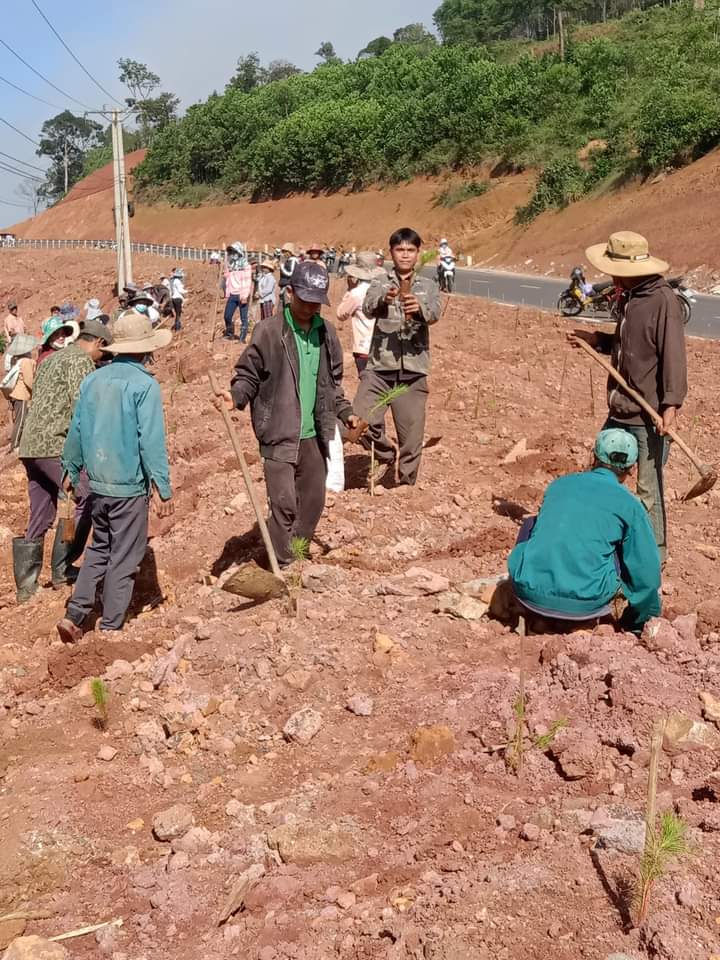 Cán bộ, công chức và nhân dân trên địa bàn xã tham gia trồng cấy phân tán dọc quốc lộ 24